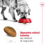 ROYAL CANIN Maxi Adult - suché krmivo pro psy - 15 kg č.6