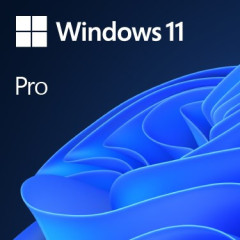 Microsoft Windows 11 Pro 1 licencí č.1